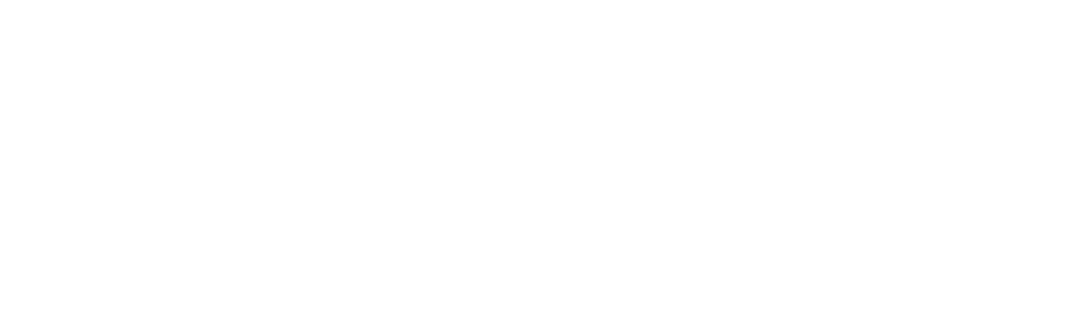 VIDA BRICKS